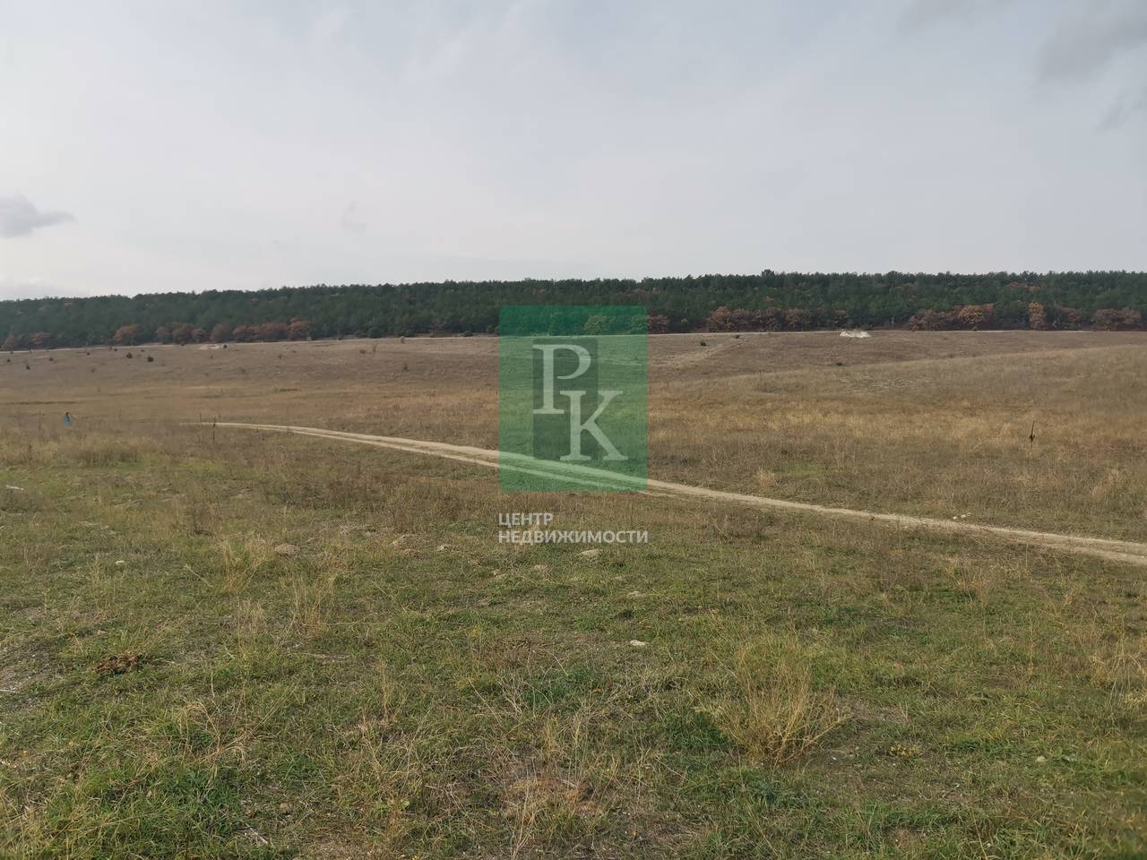 Участок, 13300 сот.