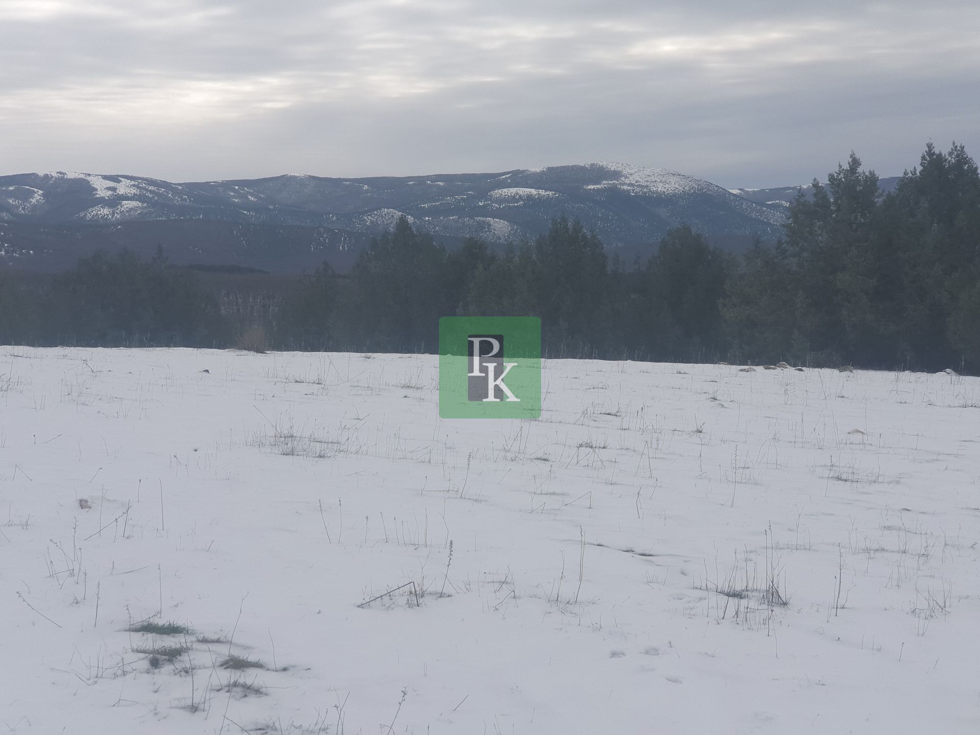 Участок, 256 сот.